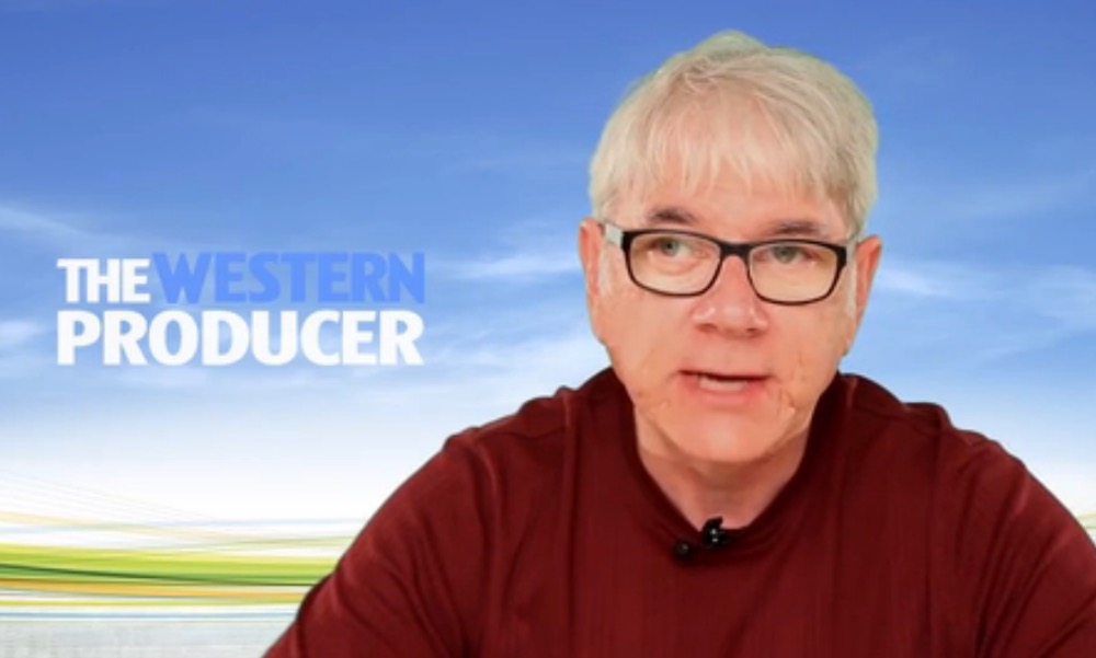 VIDEO: Canada’s agricultural markets update for Aug. 3, 2016
