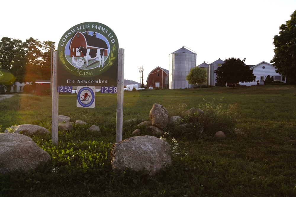 “You know it can work, it’s a matter of finding a way to make it work on your operation with your own climate.” – Brian Newcombe, Cornwallis Farms.