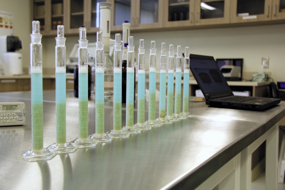 Bayer staffers will be testing early-generation lines of wheat for quality. Pictured is a sedimentation test in Bayer’s quality testing lab near Pike Lake. Gluten proteins are extracted in solution, where they react to lactic acid. Typically a higher sedimentation volume corresponds to a greater loaf volume.