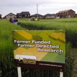 The Western Grain Research Foundation has assisted in the development of more than 200 new varieties since 1981, but will no longer receive direct checkoff funding after July 31, 2017.
