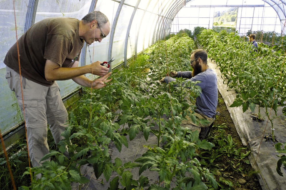 Farmers like B.C.’s Chris Bodnar are becoming mentors in areas ranging from new crops to financial management. But in all those areas, Bodnar says, it’s essential that the personal fit is good, and the expectations are clear.