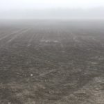 VIDEO: Late planting suggests more soybeans for Ont. farmers