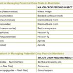 PHOTOS: A guide to beneficial insects