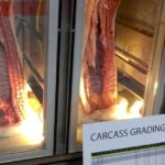 VIDEO: Hog farmers at Ontario Pork Congress optimistic