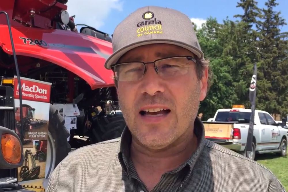 VIDEO: Curbing clubroot in Ontario canola