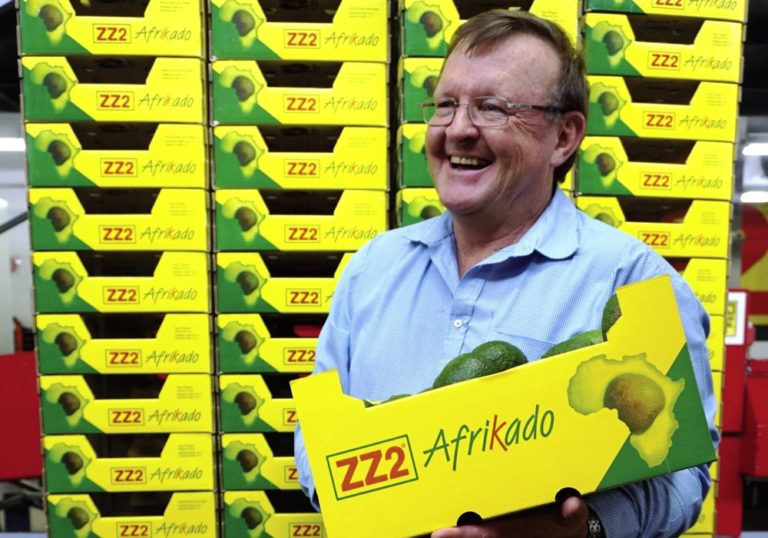 Fruits business plan pdf picture