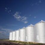 Follow storage guidelines to protect your pulses