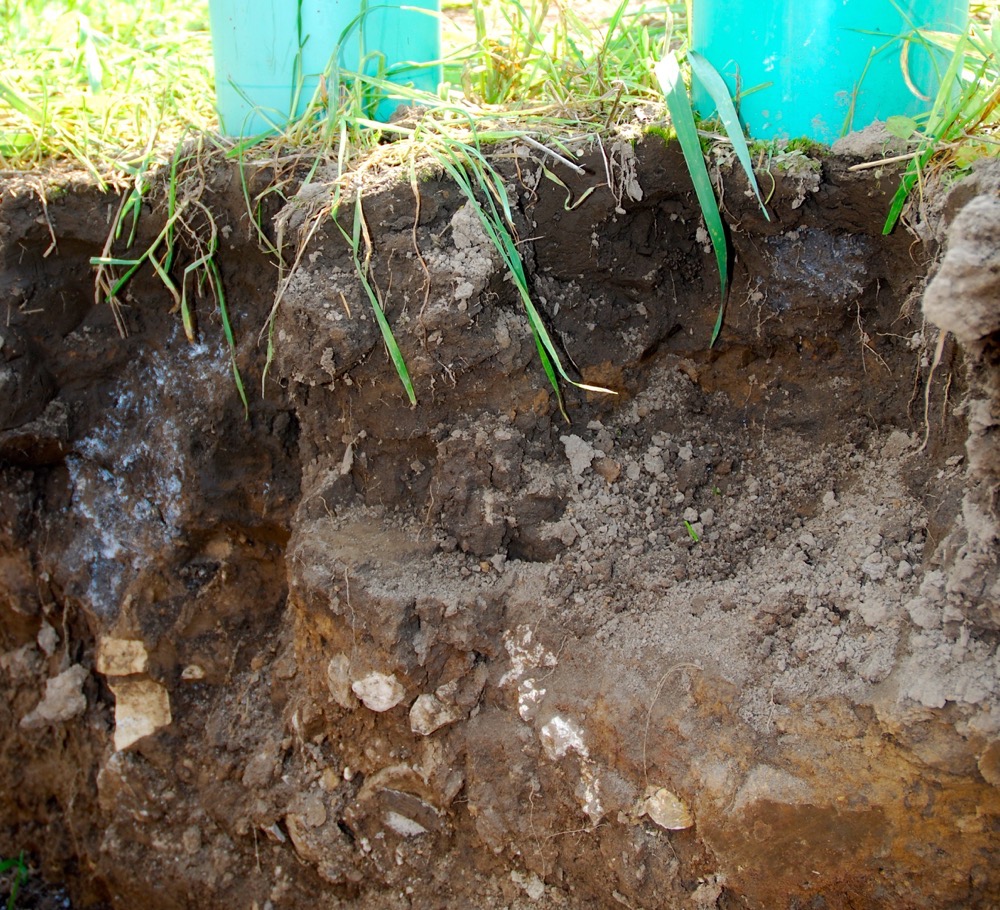 Compaction shows up below the drum on the right, including a plow pan (centre) versus infiltration of white liquid farther below the drum on the left. 