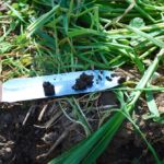 Some of the many worm casts found at various depths within the soil pit.