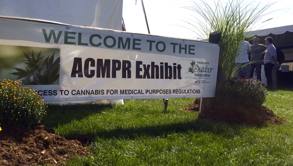 VIDEO: A new frontier awaits medical marijuana growers