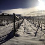 Far-away farming