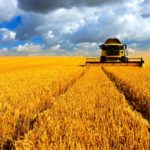 A machinery management strategy includes how much equipment to keep, how to choose the best options between owned, and financed or leased, or rented, and for how long it is held.