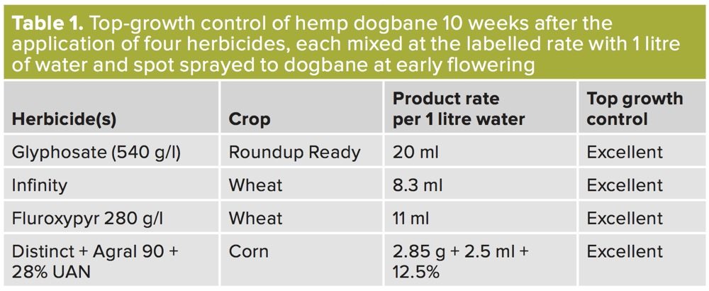 Top-growth control of hemp dogbane 10 weeks after the application of four herbicides, each mixed at the labelled rate with 1 litre of water and spot sprayed to dogbane at early flowering