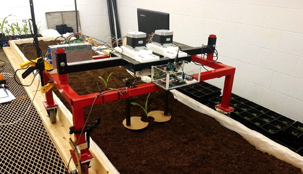 Figure 1. A robotic weeder being tested as part of an engineering design project at the University of Guelph.