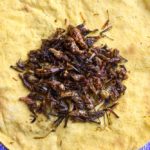 While some protein substitutes may not be as adventurous looking as this tortilla filled with roasted grasshoppers, foods such as cricket powder and cultured proteins are gaining interest with investors and tempting consumer tastes.