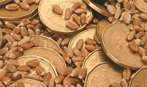 Low loonie not good for farmers right now