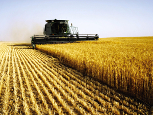 You grew the crop… now make them pay