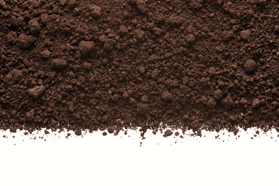 Photo: iStock