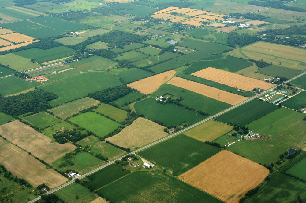 Photo: Thinkstock