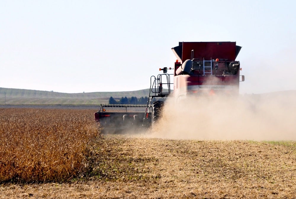 Photo: Jeannette Greaves