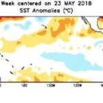 Sea surface temperature anomalies for the week centred on July 4, 2018. (CPC.ncep.noaa.gov)