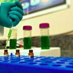 (CanniMedTherapeutics.com)