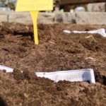 Believe it or not, this is a soil test in progress and it can tell you a lot about the health of your soil. Photo: Staff