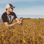 BASF’s promotions for pre-harvest use of Heat LQ have until now focused strictly on crops such as soybeans, peas, canola, dry beans and sunflowers. (Agro.basf.ca)