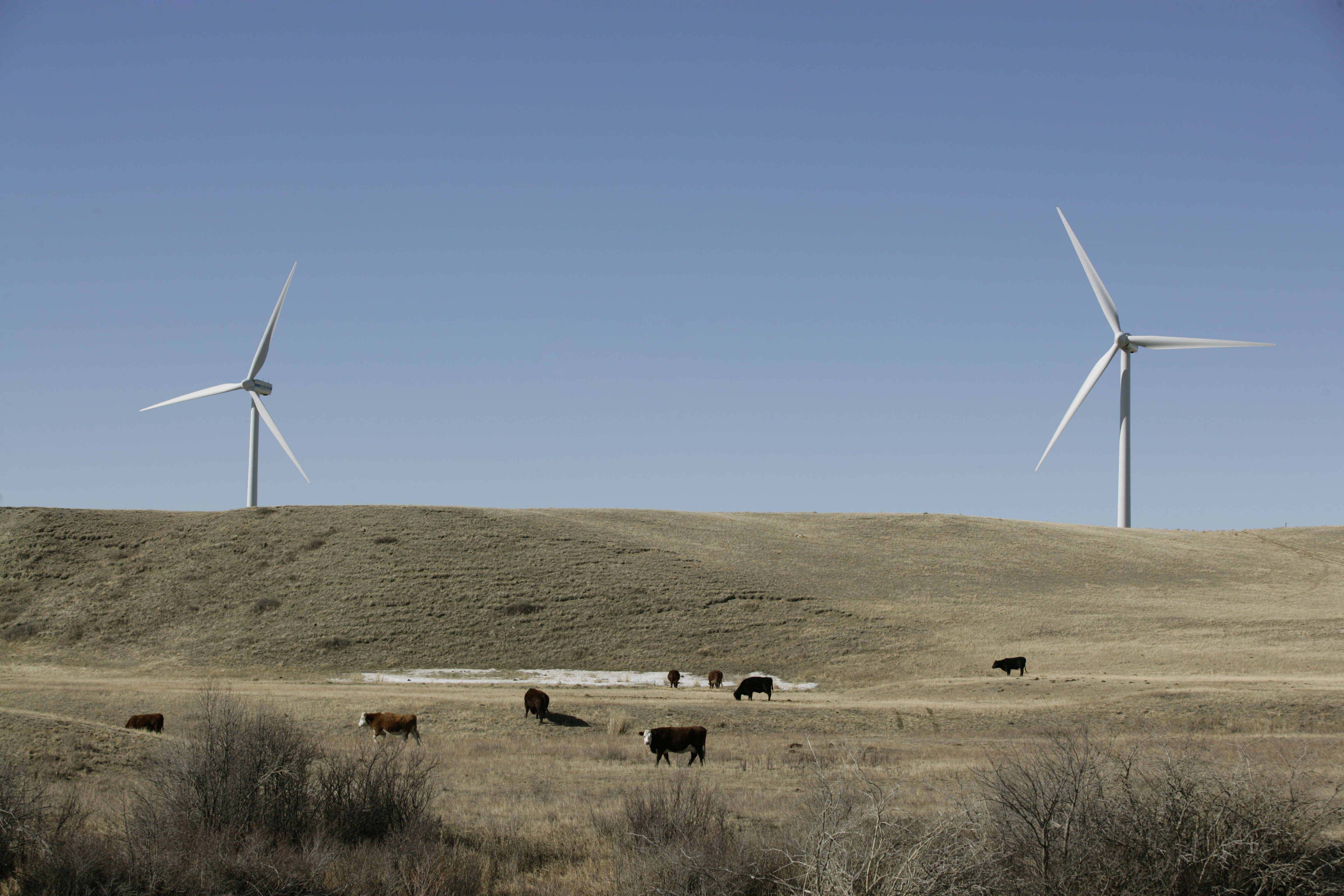 Health Canada to probe wind turbine noise