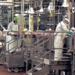 Tyson takes lead with Zilmax ban, higher beef prices may follow