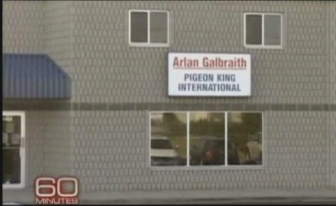 Pigeon King International’s infamy peaked with a 2010 profile on the U.S. newsmagazine program 60 Minutes. (CBSNews.com)
