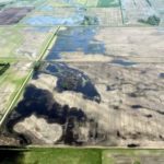 Acres too wet to seed on June 9, 2014, between Elva and Melita, Man., about 150 km east of Estevan, Sask. (Photo by Sylvia MacBean for the Manitoba Co-operator)
