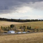 Land in short supply has left “well-financed” Alberta farmers ready to make a deal on short notice, Re/Max reports. (Photo courtesy Canada Beef Inc.)
