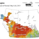 Rainfall as a percentage of normal for the period of May 6 to 26, 2015. (WeatherFarm.com)