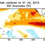 Pacific Ocean sea surface temperature anomalies for week centred on July 1. (CPC.ncep.noaa.gov)

