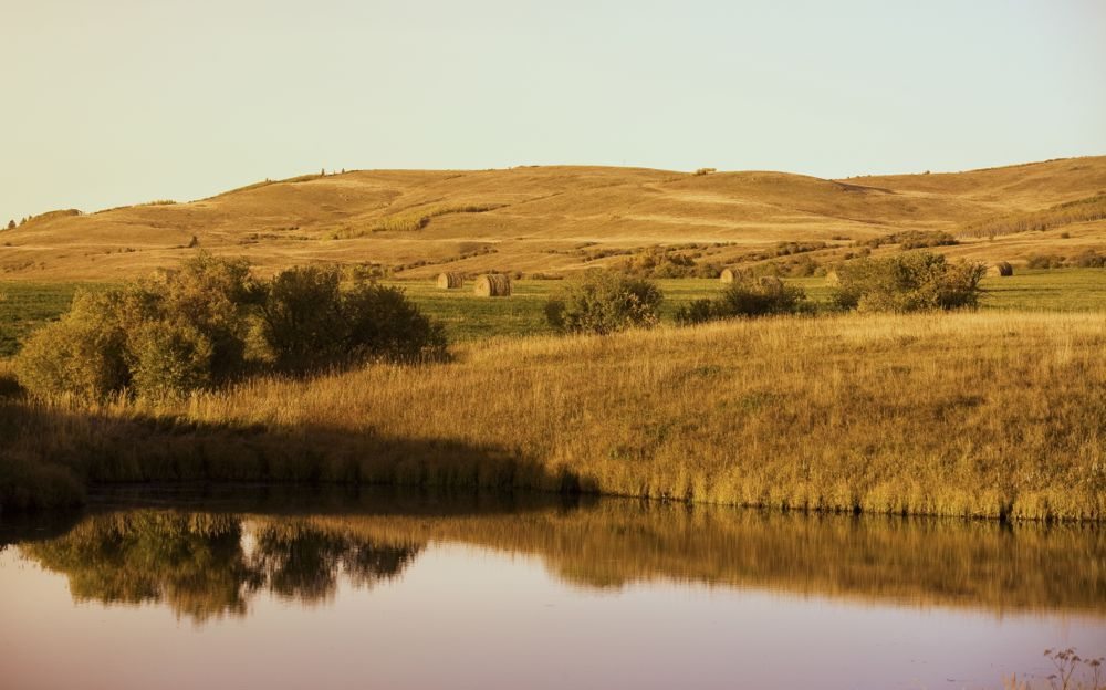 (Photo courtesy Canada Beef Inc.)
