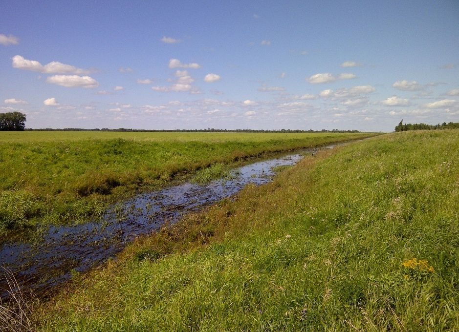 (AssiniboineWatershed.com)

