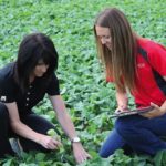Post-secondary students interested in Federated Co-operatives’ ag acholarship program now have until Oct. 15 to apply. (CoopAg.ca)