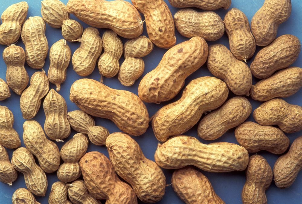 (Jack Dykinga photo courtesy ARS/USDA)
