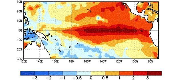 Average Pacific Ocean sea surface temperature (SST) anomalies, in degrees Celsius, for the week centred on Nov. 4. (CPC.ncep.noaa.gov)
