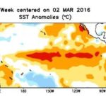 Pacific Ocean sea surface temperature (SST) anomalies for the week centred March 2. (CPC.ncep.noaa.gov)