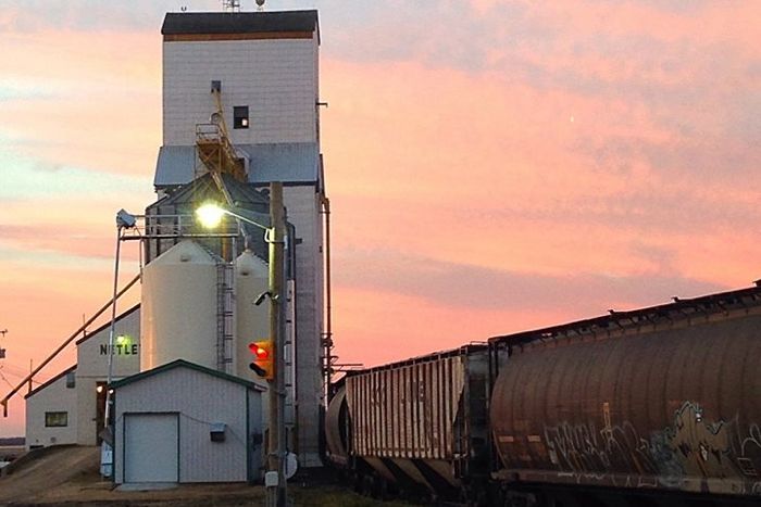 (Photo courtesy Tri-Field Farms via Facebook, used by permission)
