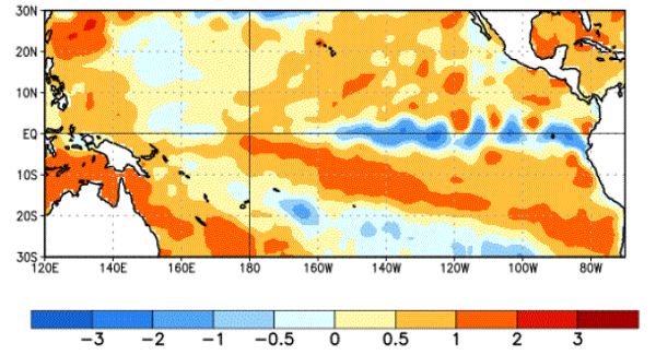 Average sea surface temperature (SST) anomalies for the week centred on June 1. Anomalies based on weekly means for 1981-2010 base period. (CPC.ncep.noaa.gov)
