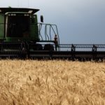 Photo: File/Sharlene Bennie (2014)