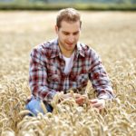Green jobs eligible for wage subsidy