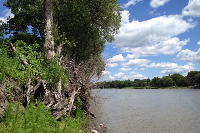 Manitoba in the past decade has imposed restrictions on intensive hog production in a bid to reduce the nutrient load on the Red River heading north toward Lake Winnipeg. (Dave Bedard photo)
