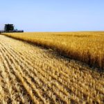 Photo: File/iStock