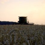 The easiest measure of success in row crop production comes at the combine — a matter of quantity versus quality.