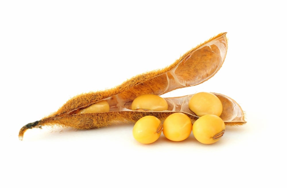 Soybean pod counts are up eight percent compared to 2017.  Photo: Thinkstock
