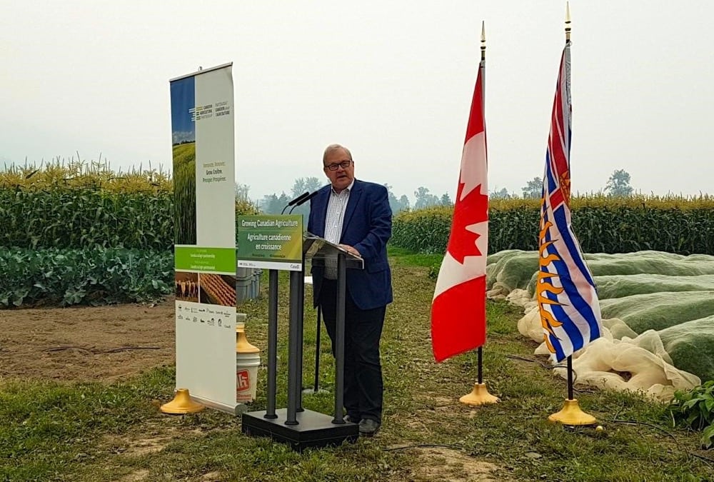 Lawrence MacAulay, Minister of Agriculture and Agri-Food, announcing the $8.3-million investment in the Organic Federation of Canada.  Photo: Supplied
